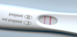 Pregnancy test