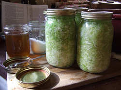 Fermented food